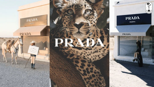 Prada Đến Từ Nước Nào? Mua Prada Chính Hãng Ở Đâu? - Blank Room