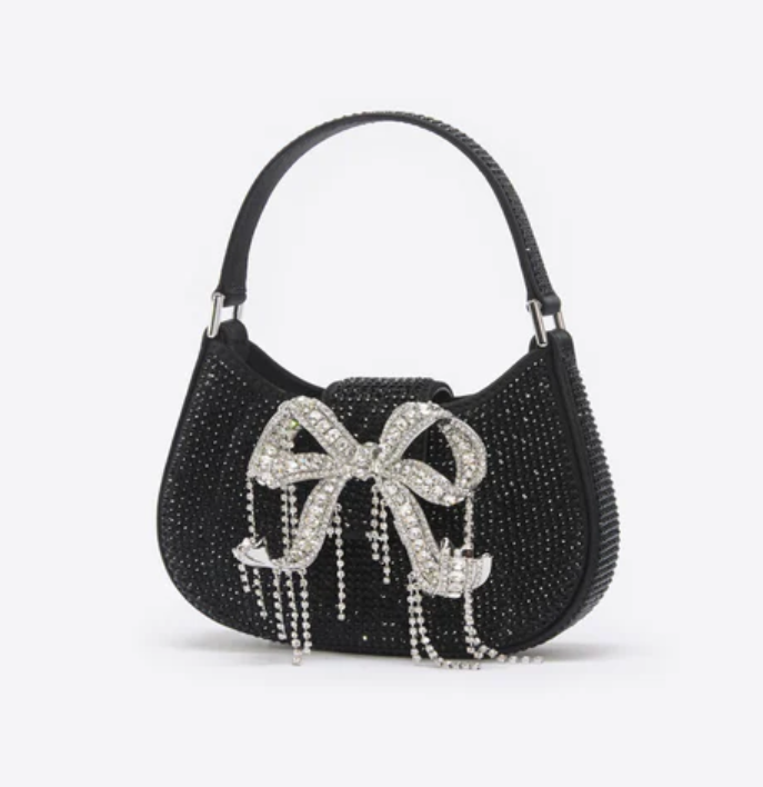 SELF-PORTRAIT BAG (27)