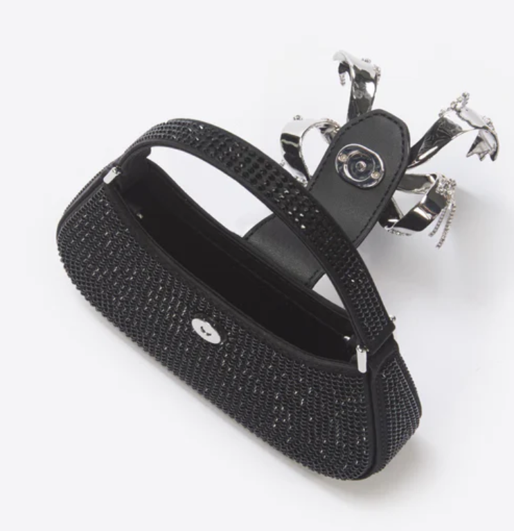 SELF-PORTRAIT BAG (27)