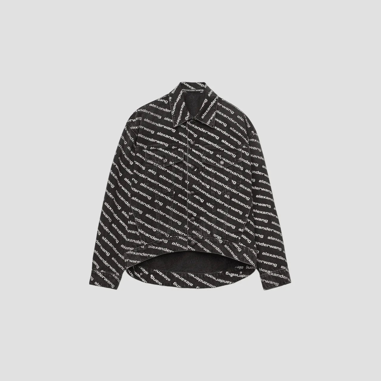 ALEXANDER WANG JACKET (01) - Blank Room