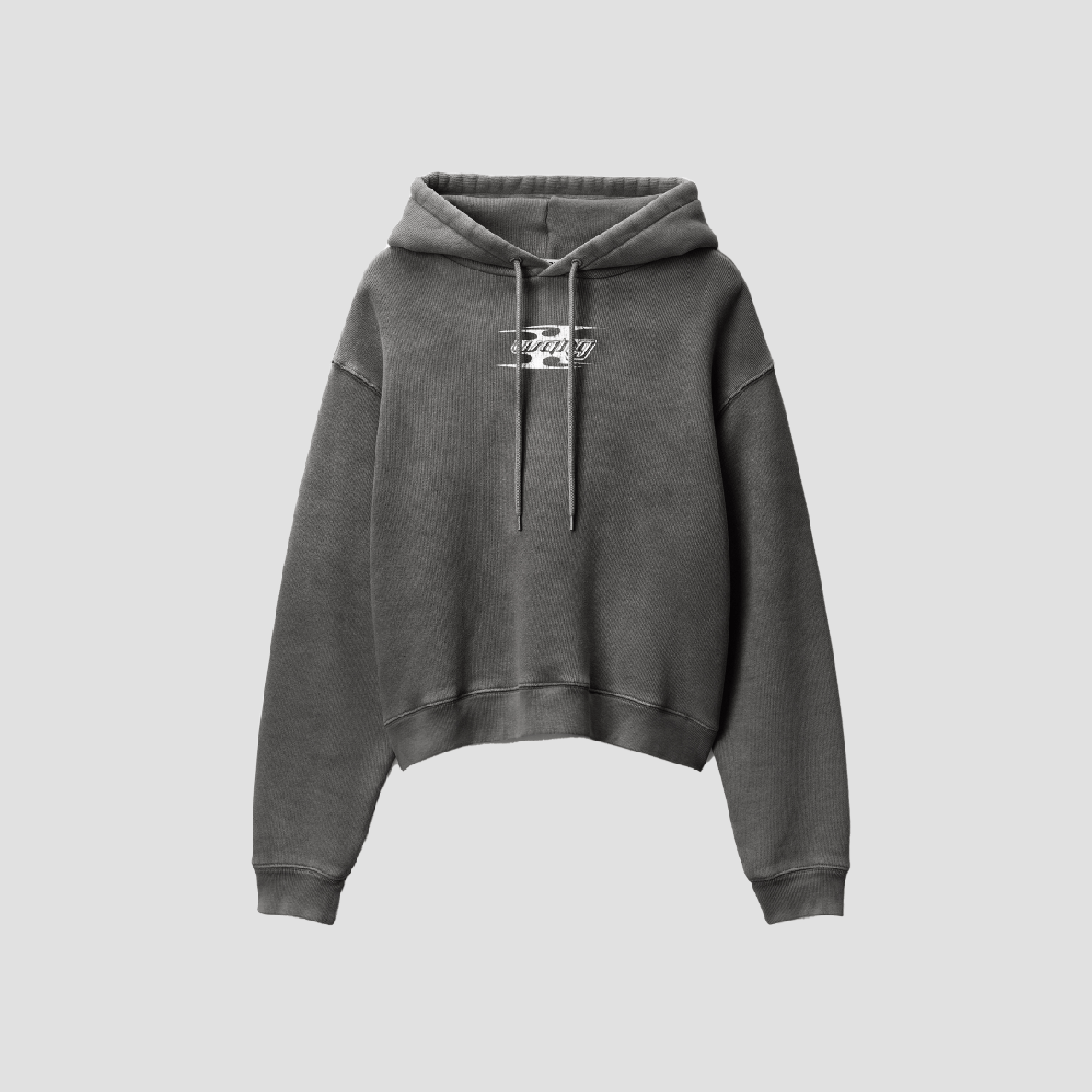 Alexander Wang Blade Cotton Terry Hoodie Washed Cedar 4CC4242107208A