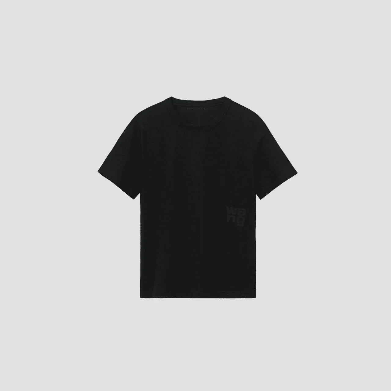 ALEXANDER WANG T-SHIRT (01) - Blank Room