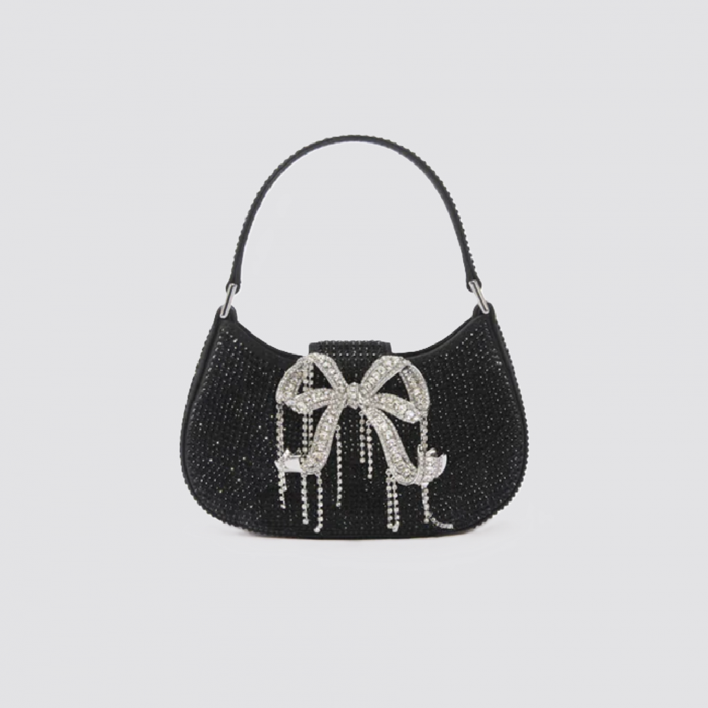 SELF-PORTRAIT BAG (27)