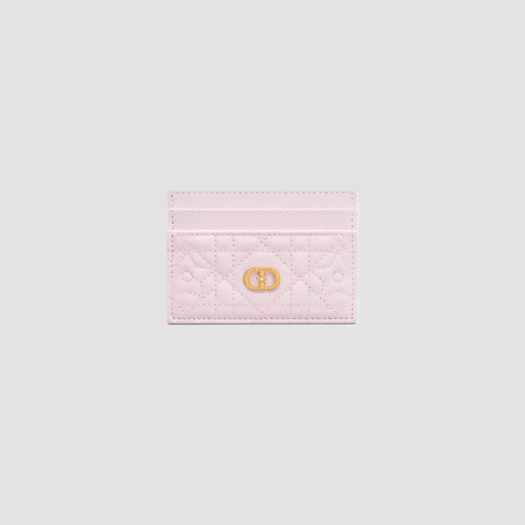 DIOR CARD HOLDER (04)