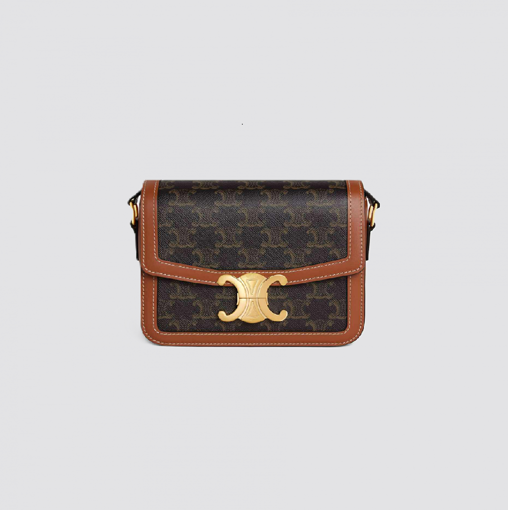 CELINE BAG (34)