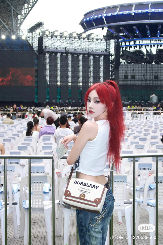 túi đeo chéo BURBERRY BAG HORSEFERRY PRINT CANVAS NOTE CROSSBODY 80302491 hàng hiệu authentic tại hà nội, sài gòn, tp hcm, việt nam