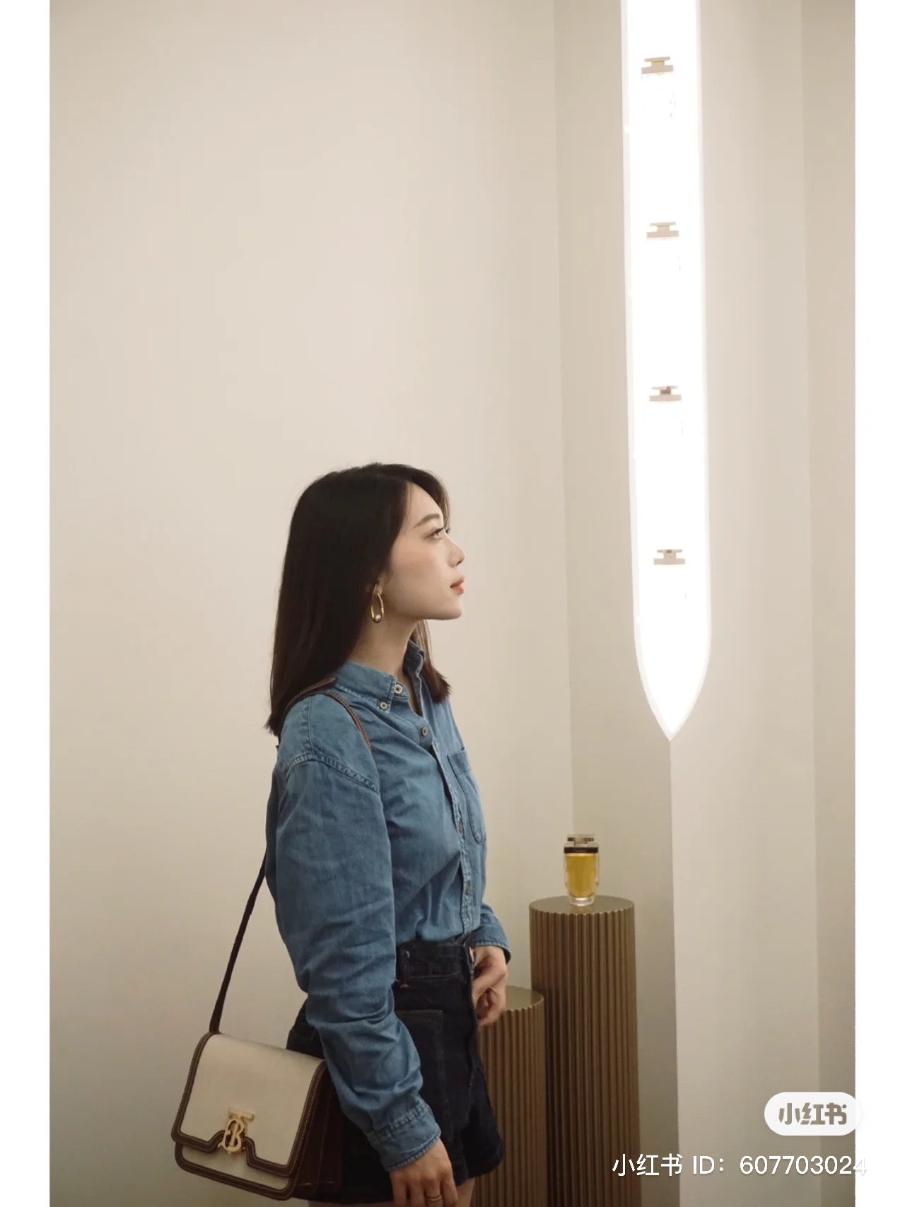 nữ đeo túi BURBERRY SMALL TWO-TONE CANVAS AND LEATHER TB BAG 8014640
