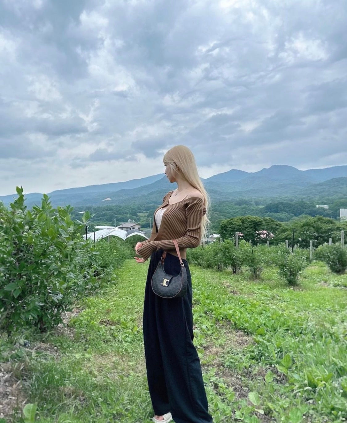 nữ đeo túi kẹp nách CELINE AVA TRIOMPHE BAG IN TRIOMPHE CANVAS AND CALFSKIN TAN 114492BZJ.04LU