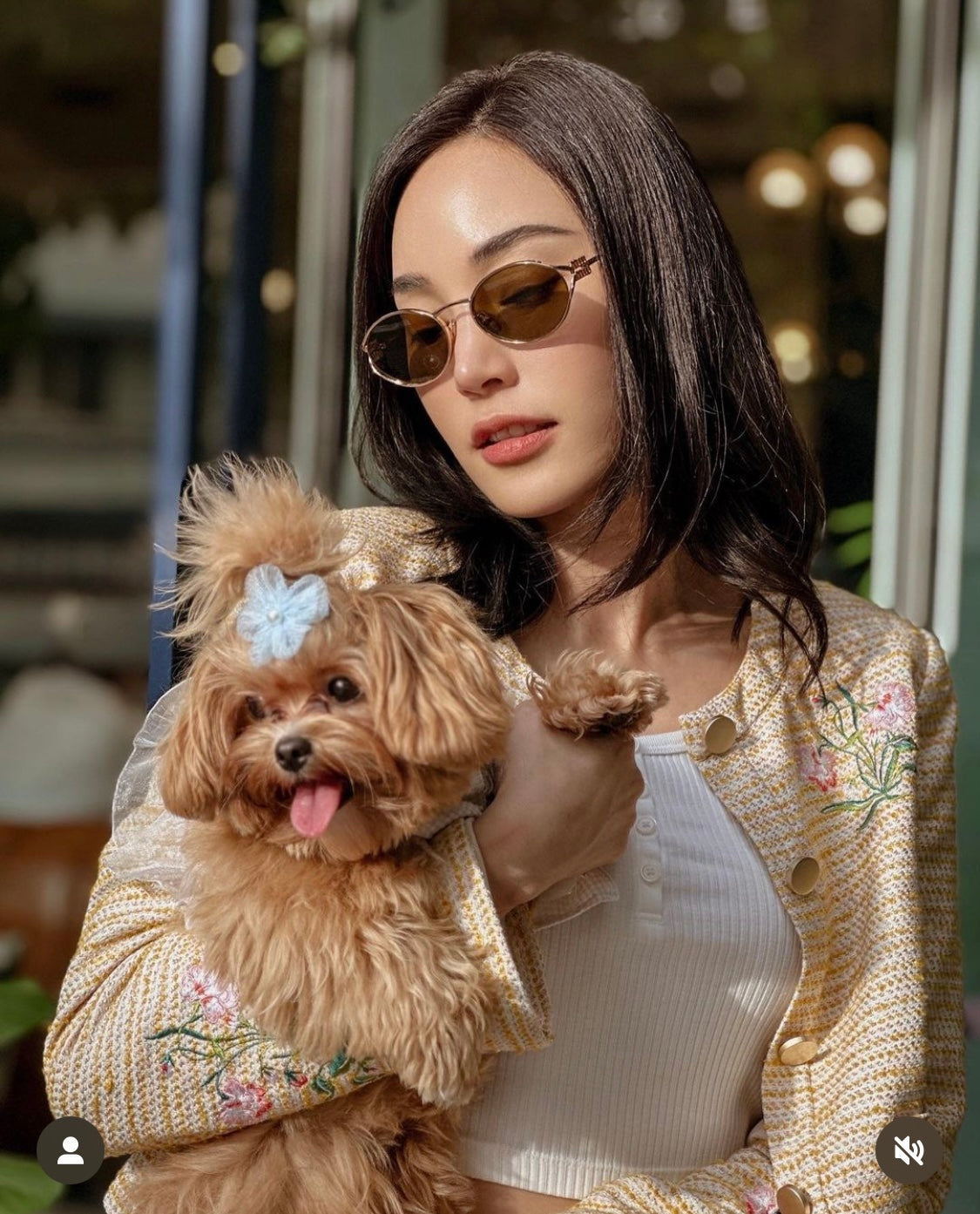 tổng thể kính