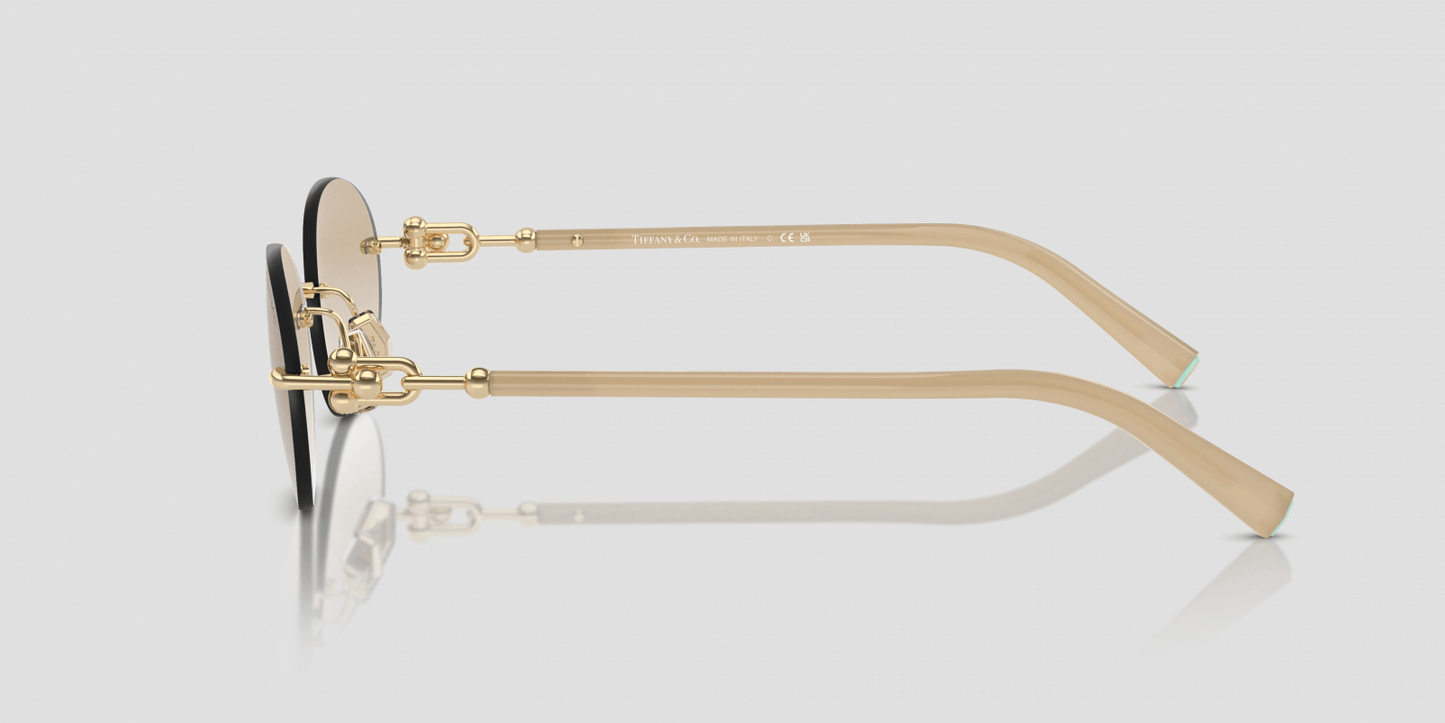 mặt ngang bên hông kính