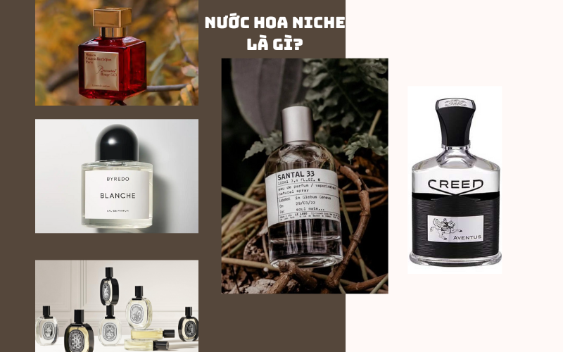 Nước Hoa Niche Là Gì