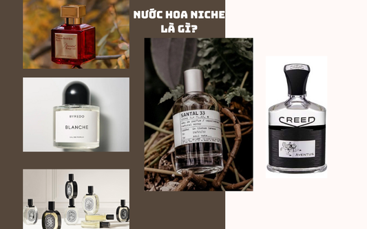 Nước Hoa Niche Là Gì