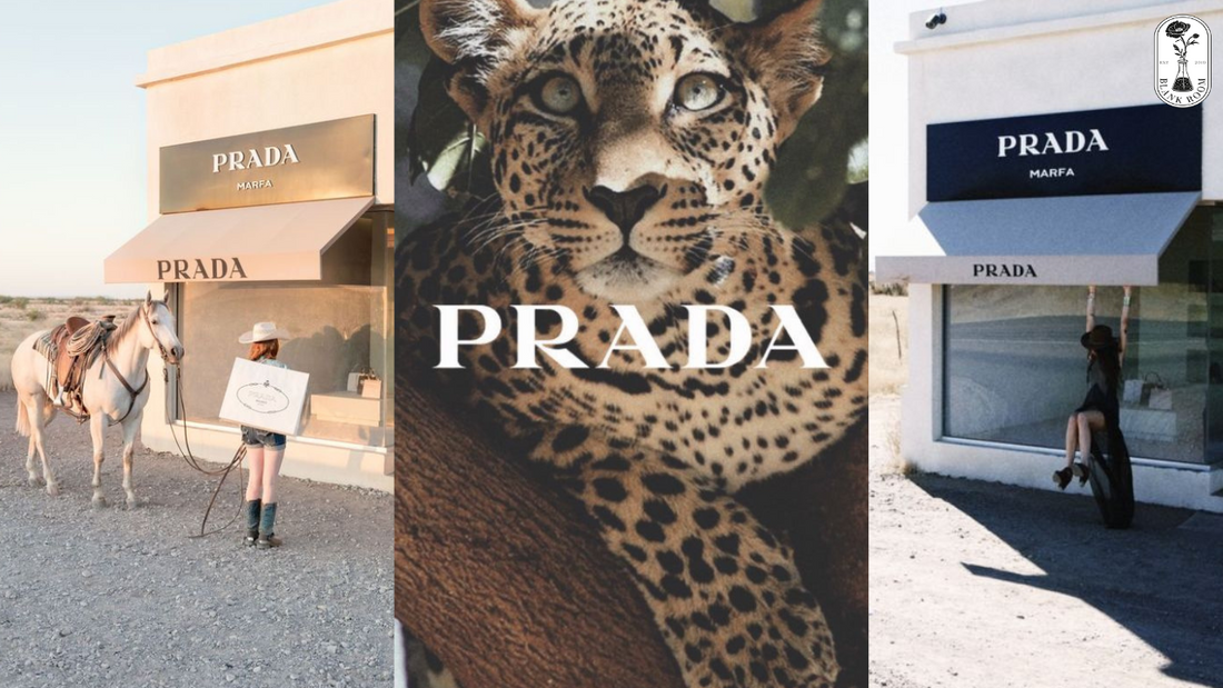 Prada Đến Từ Nước Nào? Mua Prada Chính Hãng Ở Đâu?