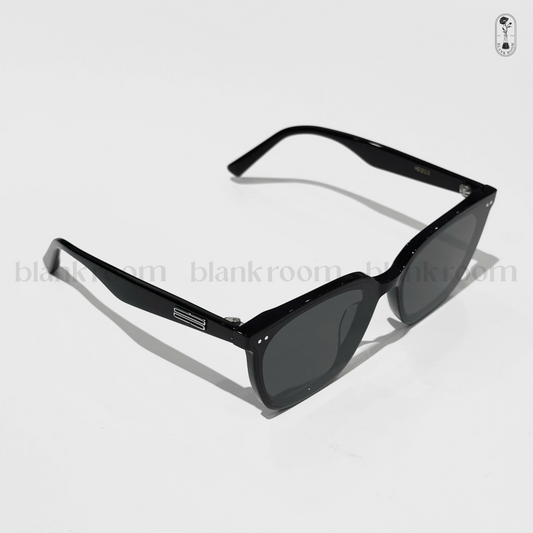 GENTLE MONSTER HEIZER (01)