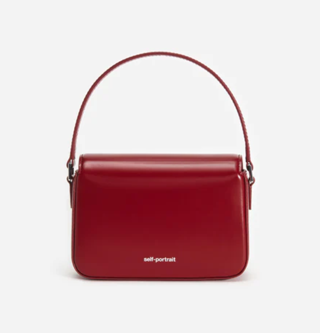 SELF-PORTRAIT BAG (34)