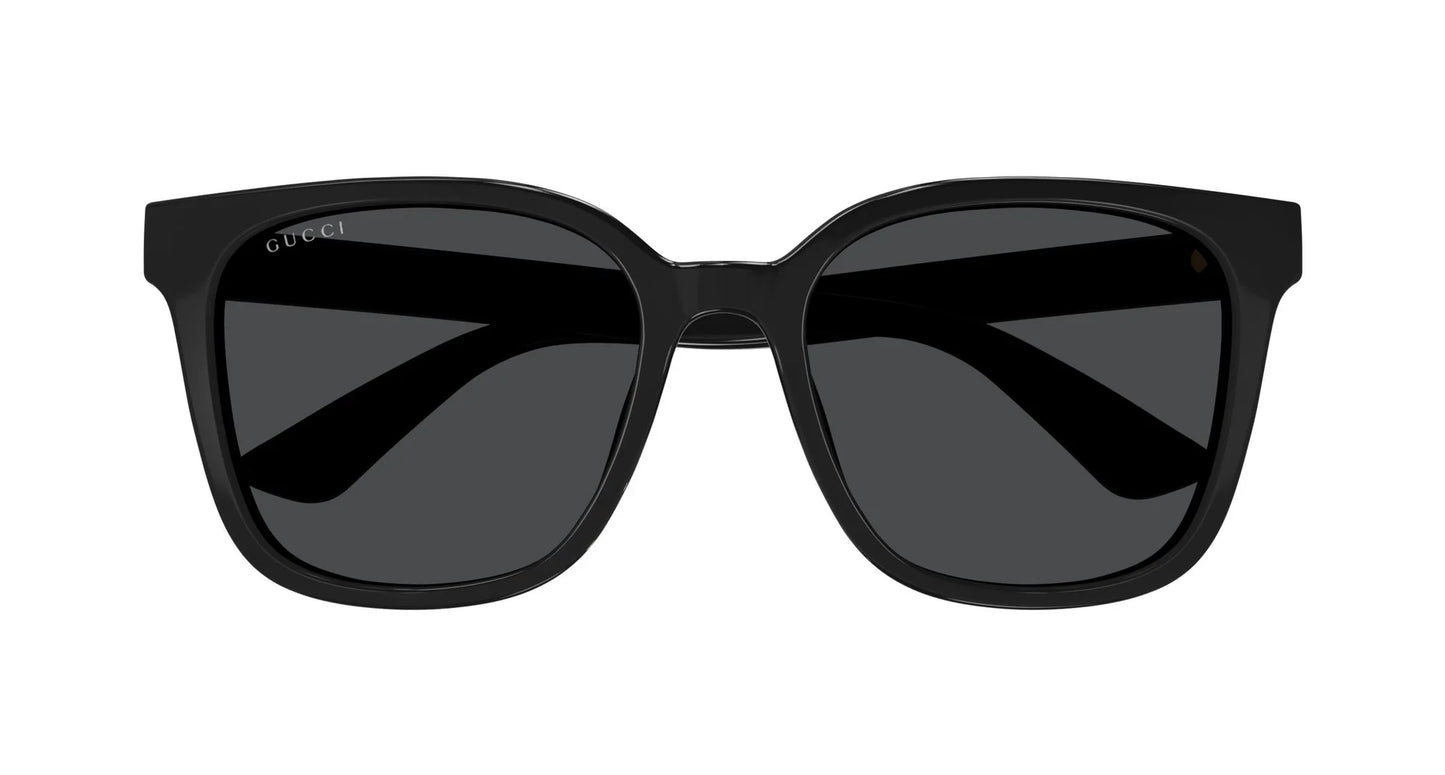 GUCCI GLASSES (100)