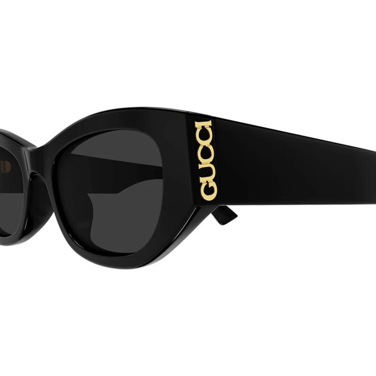 GUCCI GLASSES (97)