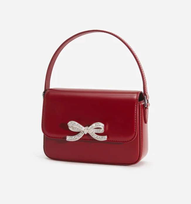 SELF-PORTRAIT BAG (34)