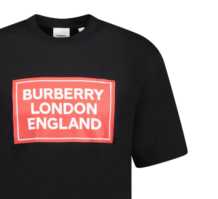 BURBERRY T-SHIRT (34)