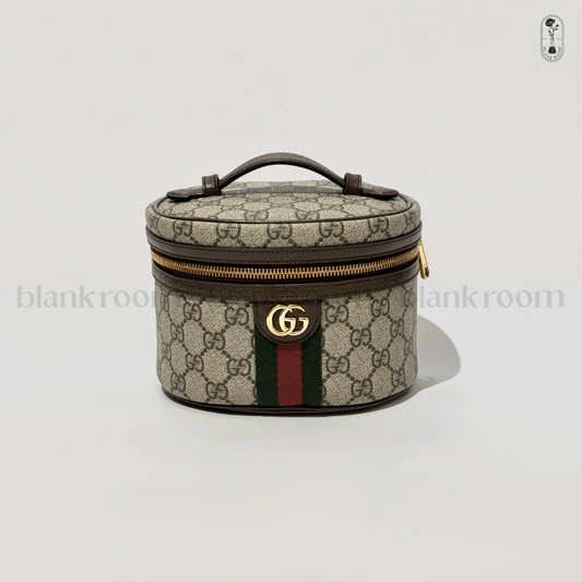 GUCCI BAG (106)