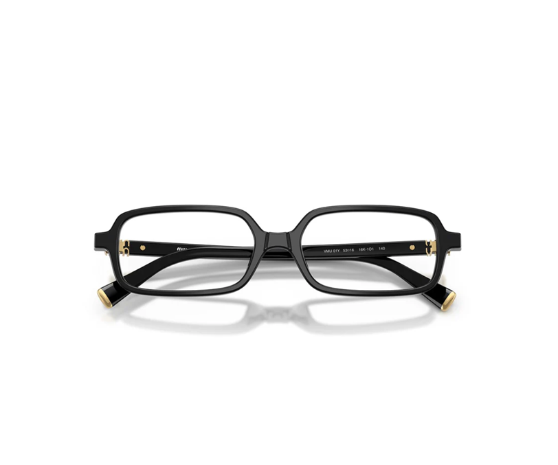 MIU MIU GLASSES (55)