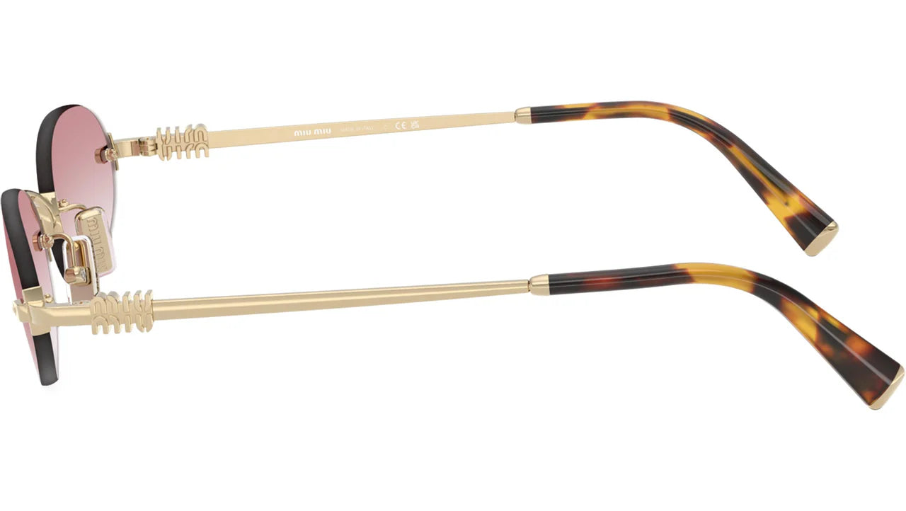 MIU MIU GLASSES (48)