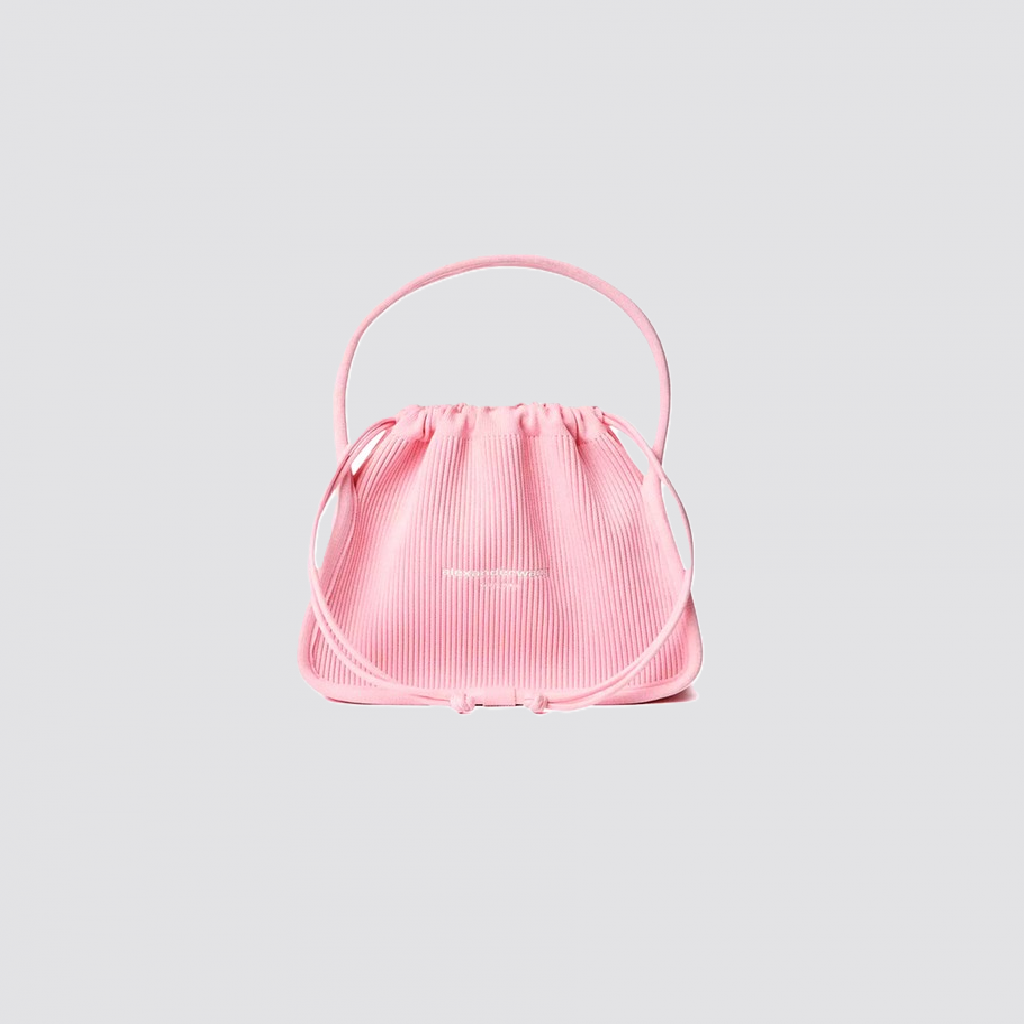 ALEXANDER WANG BAG (06)