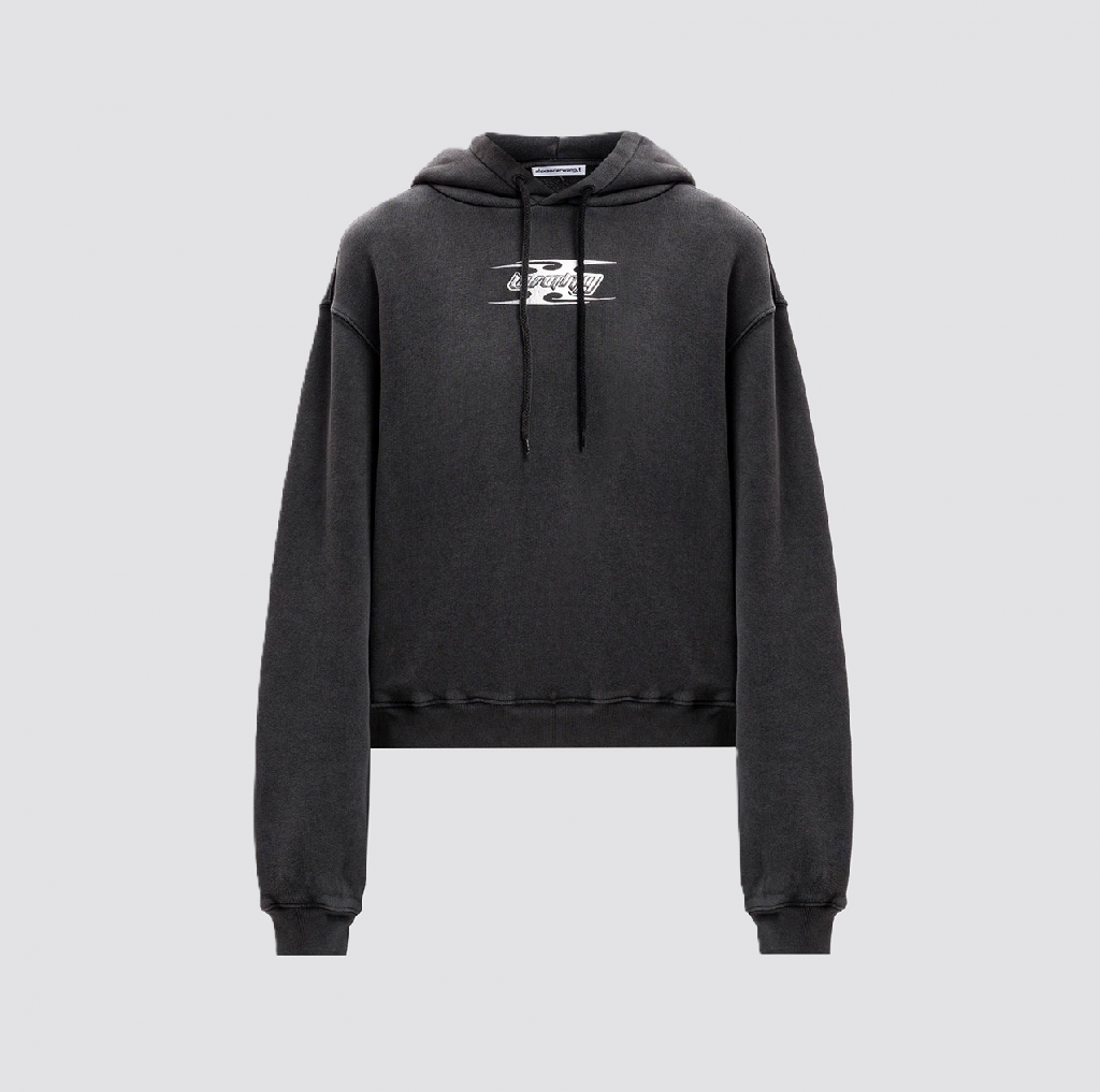 ALEXANDER WANG HOODIE (02)