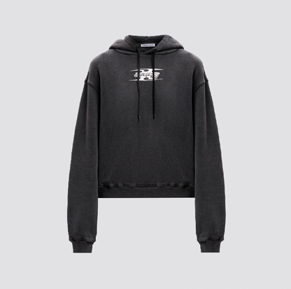 ALEXANDER WANG HOODIE (02)