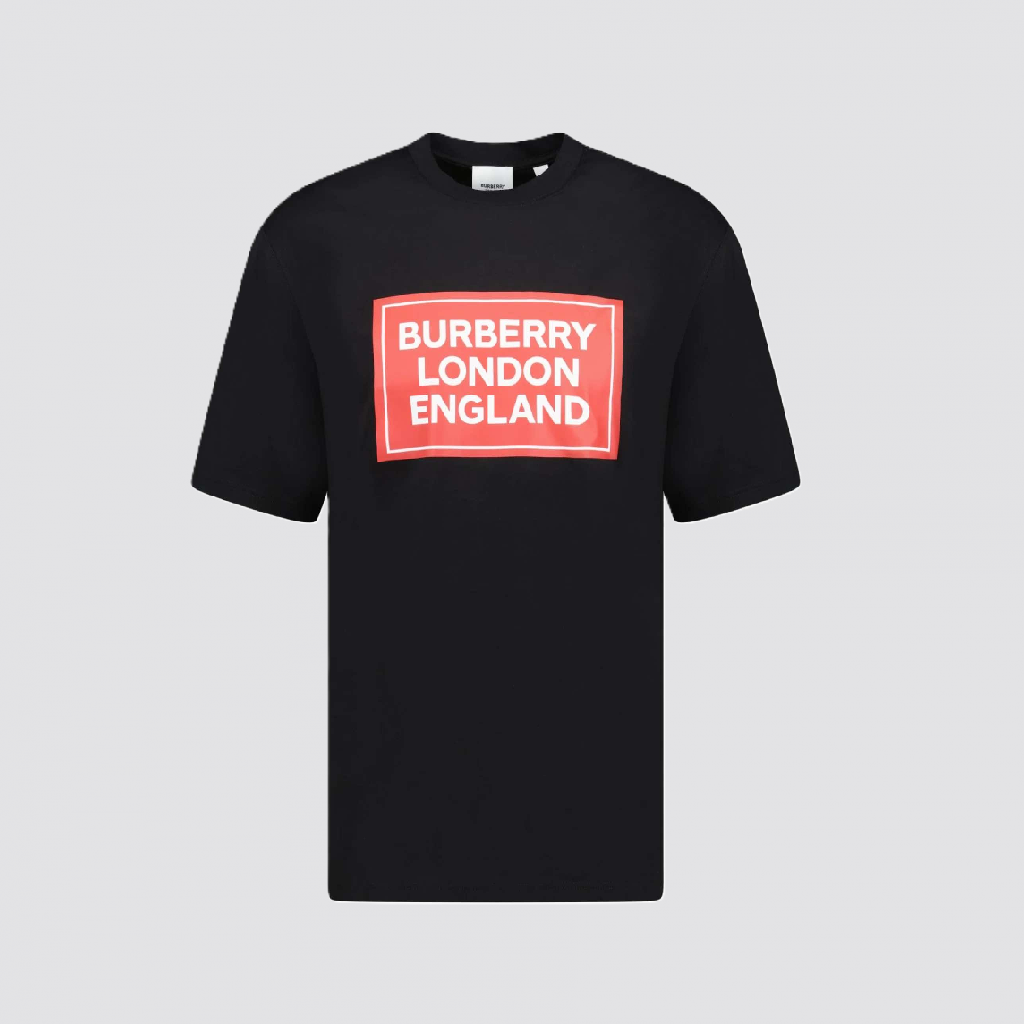 BURBERRY T-SHIRT (34)