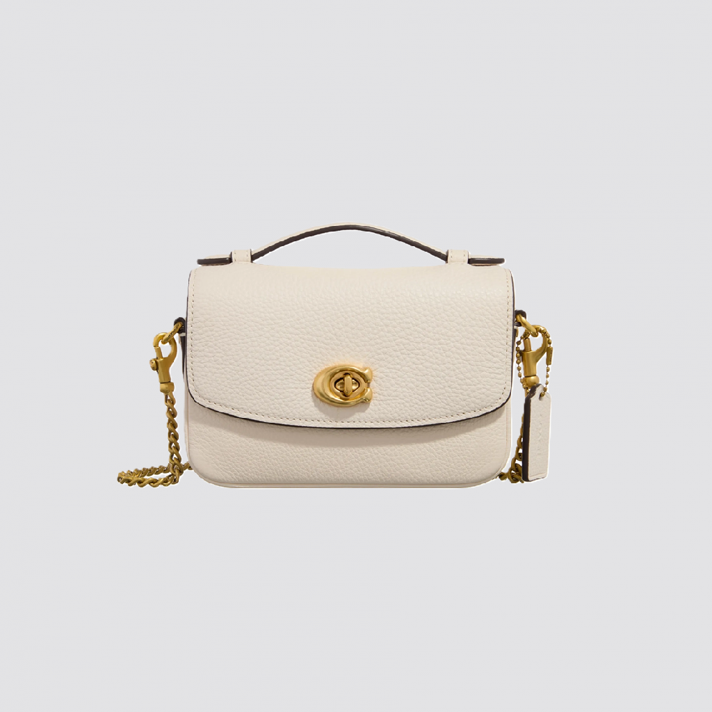 COACH BAG (01)
