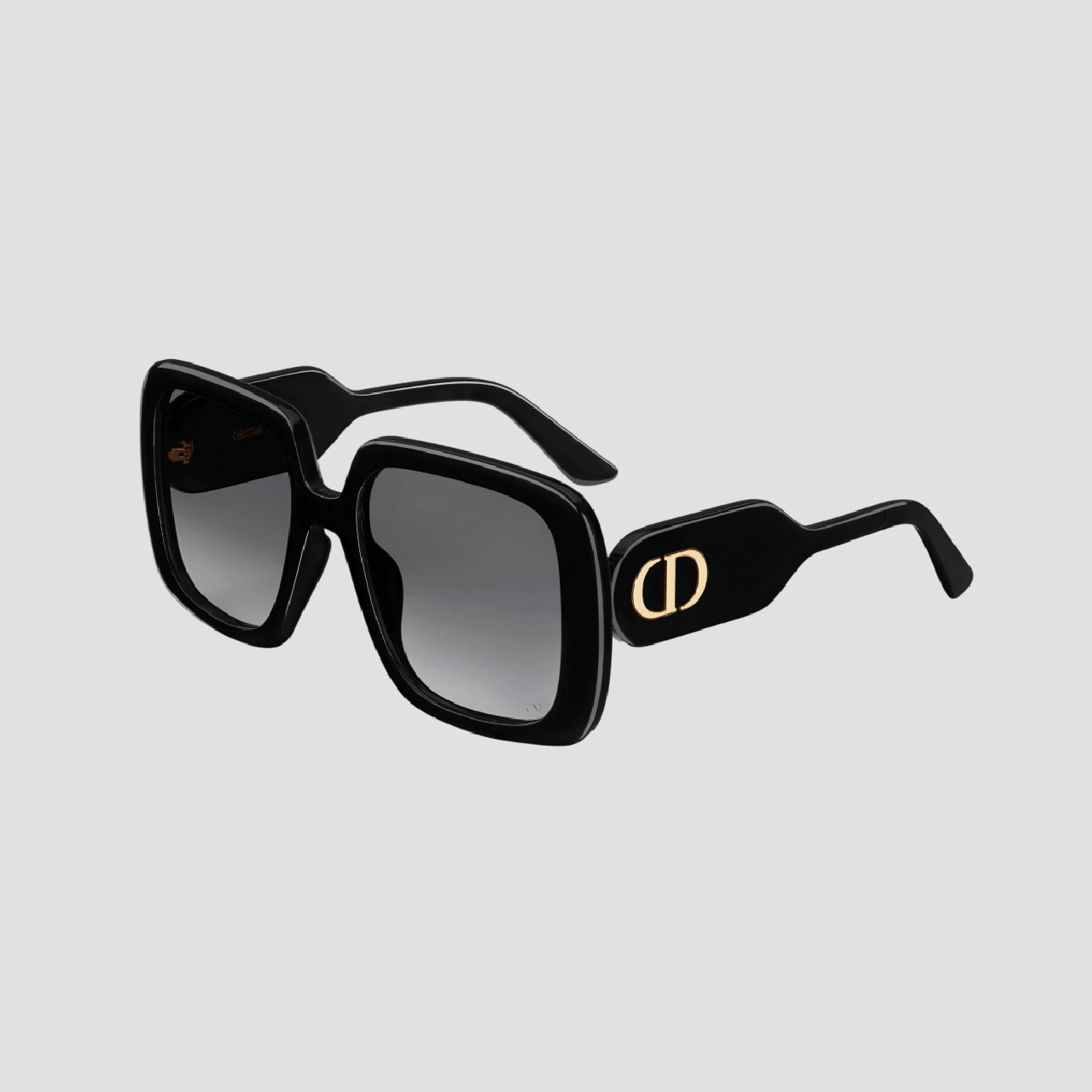 DIORBOBBY S2U 10A1 SUNGLASSES BOBYS2UXR