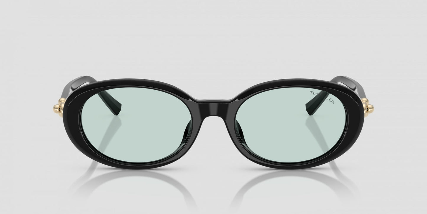 Black oval sunglasses with gold accents on a light gray background