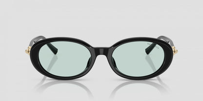 Black oval sunglasses with gold accents on a light gray background