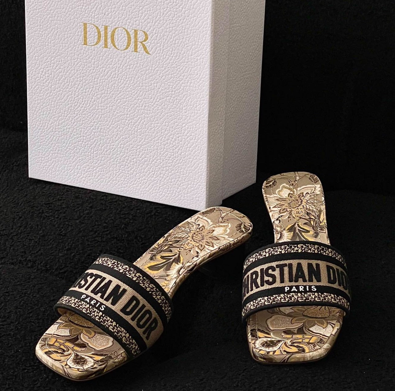 DIOR SLIDES (05)